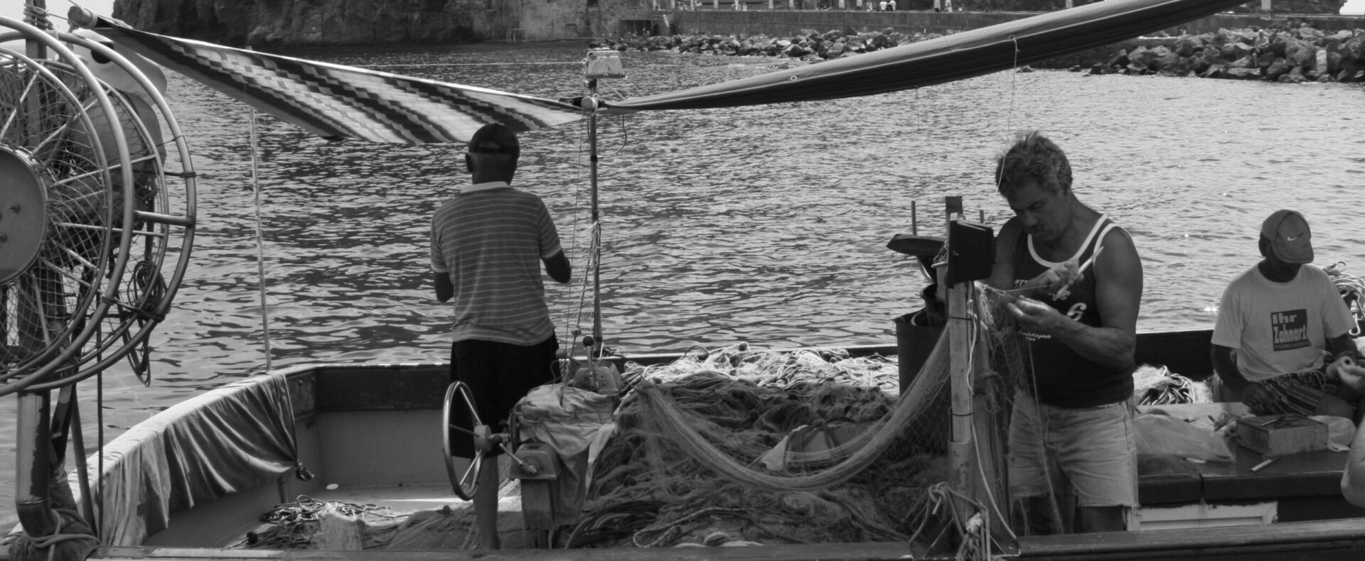 Mably rilevazione trattamento analisi statistica di dati filiera pesca